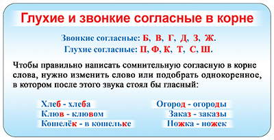 8Б-2174  Правила русского языка "Глухие и звонкие согласные"